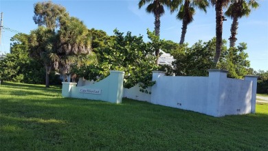 An OVERSIZED BUILDING LOT, just over 1/2 acre.  Located in on Rotonda Golf and Country Club The Links Course in Florida - for sale on GolfHomes.com, golf home, golf lot