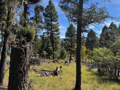 Lovely lot on a quiet street. Enjoy the peaceful atmosphere on on Angel Fire Resort Country Club in New Mexico - for sale on GolfHomes.com, golf home, golf lot