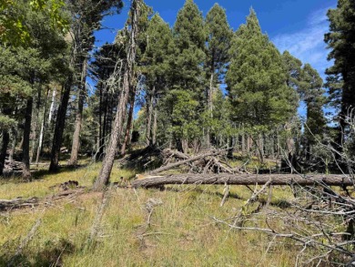 Lovely lot on a quiet street. Enjoy the peaceful atmosphere on on Angel Fire Resort Country Club in New Mexico - for sale on GolfHomes.com, golf home, golf lot
