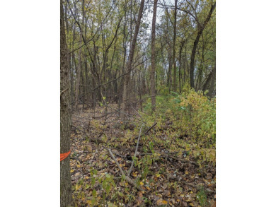 4.6 acre parcel on 700 North in Hobart. Nice wooded lot for on Duck Creek Country Club in Indiana - for sale on GolfHomes.com, golf home, golf lot