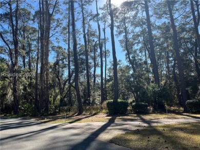 Almost 3/4 acres property that backs up to a pond  surrounded by on Haig Point Golf Club in South Carolina - for sale on GolfHomes.com, golf home, golf lot