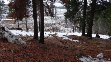 Almost 1 acre (.95) flag lot located in Lake Almanor's favorite on Lake Almanor West Golf Course in California - for sale on GolfHomes.com, golf home, golf lot