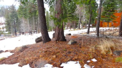 Almost 1 acre (.95) flag lot located in Lake Almanor's favorite on Lake Almanor West Golf Course in California - for sale on GolfHomes.com, golf home, golf lot