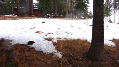 Almost 1 acre (.95) flag lot located in Lake Almanor's favorite on Lake Almanor West Golf Course in California - for sale on GolfHomes.com, golf home, golf lot