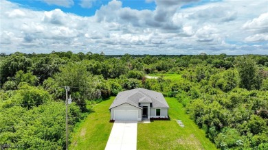 DOWNPAYMENT ASSISTANCE AVAILABLE! You Will Be Amazed By This on Copperhead Golf Club in Florida - for sale on GolfHomes.com, golf home, golf lot