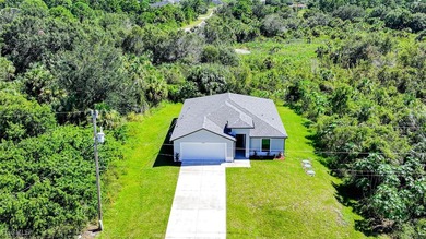 Huge Price Reduction, Must Sell Immediately!! You Will Be Amazed on Copperhead Golf Club in Florida - for sale on GolfHomes.com, golf home, golf lot