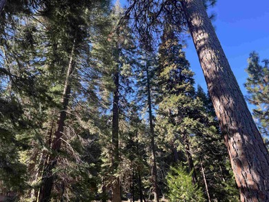 Great Golf Couse lot at Lake Almanor's premier development on Lake Almanor West Golf Course in California - for sale on GolfHomes.com, golf home, golf lot