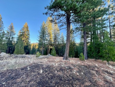 BEHOLD, BECKWOURTH PEAK!  This lovely Nakoma Resort homesite has on Nakoma Golf Resort in California - for sale on GolfHomes.com, golf home, golf lot