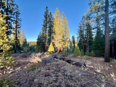 BEHOLD, BECKWOURTH PEAK!  This lovely Nakoma Resort homesite has on Nakoma Golf Resort in California - for sale on GolfHomes.com, golf home, golf lot