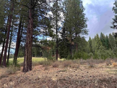 -This remarkable golf course and mountain view lot is centered on Nakoma Golf Resort in California - for sale on GolfHomes.com, golf home, golf lot