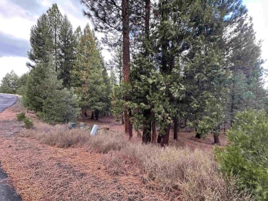 -This remarkable golf course and mountain view lot is centered on Nakoma Golf Resort in California - for sale on GolfHomes.com, golf home, golf lot