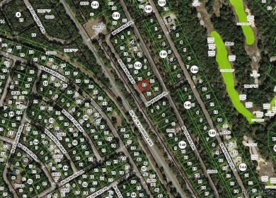 Buildable lot located in Citrus Springs, offering a picturesque on Citrus Springs Country Club in Florida - for sale on GolfHomes.com, golf home, golf lot