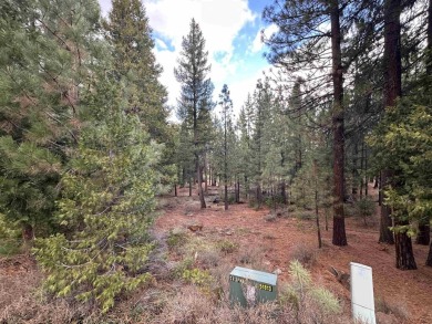 -This remarkable golf course and mountain view lot is centered on Nakoma Golf Resort in California - for sale on GolfHomes.com, golf home, golf lot