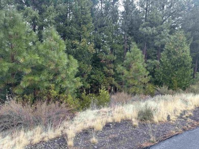 -This remarkable golf course and mountain view lot is centered on Nakoma Golf Resort in California - for sale on GolfHomes.com, golf home, golf lot