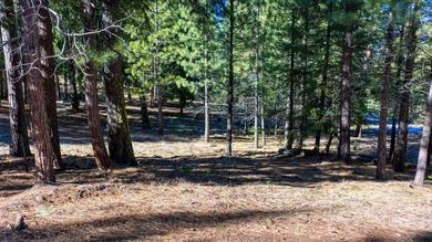 This remarkable golf course and mountain view lot is centered in on Nakoma Golf Resort in California - for sale on GolfHomes.com, golf home, golf lot