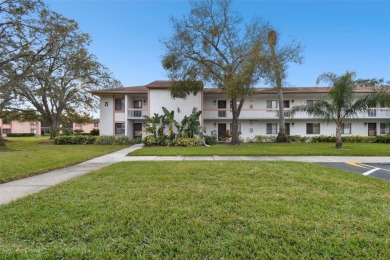 SELLERS WILL PAY THE BUYERS HOA FEE FOR THE FIRST 6 MONTHS on East Lake Woodlands Country Club in Florida - for sale on GolfHomes.com, golf home, golf lot