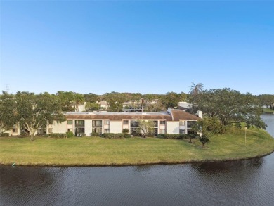 SELLERS WILL PAY THE BUYERS HOA FEE FOR THE FIRST 6 MONTHS on East Lake Woodlands Country Club in Florida - for sale on GolfHomes.com, golf home, golf lot