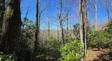 Build Your Dream Mountain Retreat! Located in the on Sapphire National Golf Club in North Carolina - for sale on GolfHomes.com, golf home, golf lot