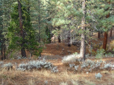Situated on just over half an acre, this stunning property is on Grizzly Ranch Golf Club in California - for sale on GolfHomes.com, golf home, golf lot