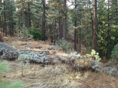 Situated on just over half an acre, this stunning property is on Grizzly Ranch Golf Club in California - for sale on GolfHomes.com, golf home, golf lot
