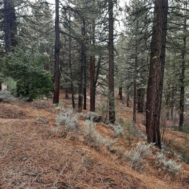 Situated on just over half an acre, this stunning property is on Grizzly Ranch Golf Club in California - for sale on GolfHomes.com, golf home, golf lot