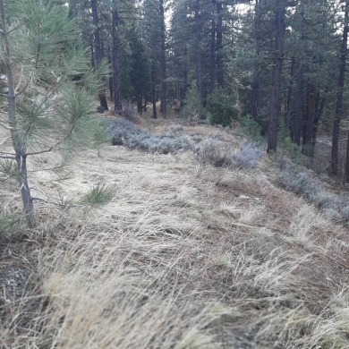 Situated on just over half an acre, this stunning property is on Grizzly Ranch Golf Club in California - for sale on GolfHomes.com, golf home, golf lot