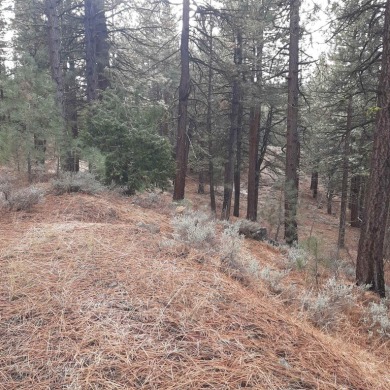 Situated on just over half an acre, this stunning property is on Grizzly Ranch Golf Club in California - for sale on GolfHomes.com, golf home, golf lot