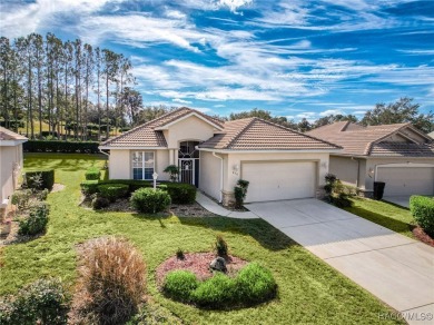 One or more photo(s) has been virtually staged.  Enjoy on Skyview At Terra Vista Golf and Country Club in Florida - for sale on GolfHomes.com, golf home, golf lot