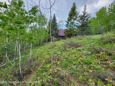 Beautiful treed lot backing up to the Aspen Hills Golf Course on Aspen Hills Golf Course in Wyoming - for sale on GolfHomes.com, golf home, golf lot