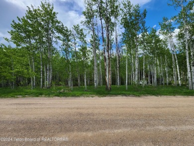 Beautiful treed lot backing up to the Aspen Hills Golf Course on Aspen Hills Golf Course in Wyoming - for sale on GolfHomes.com, golf home, golf lot