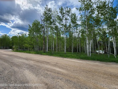 Beautiful treed lot backing up to the Aspen Hills Golf Course on Aspen Hills Golf Course in Wyoming - for sale on GolfHomes.com, golf home, golf lot