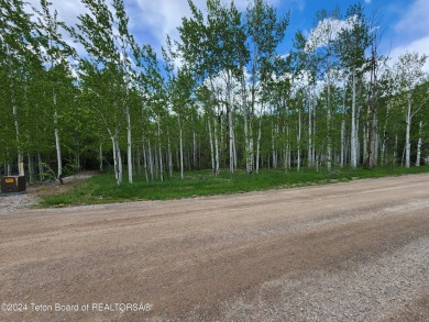 Beautiful treed lot backing up to the Aspen Hills Golf Course on Aspen Hills Golf Course in Wyoming - for sale on GolfHomes.com, golf home, golf lot