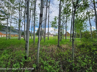 Beautiful treed lot backing up to the Aspen Hills Golf Course on Aspen Hills Golf Course in Wyoming - for sale on GolfHomes.com, golf home, golf lot