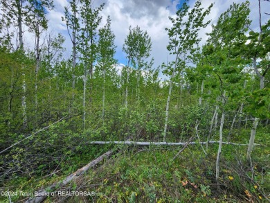 Beautiful treed lot backing up to the Aspen Hills Golf Course on Aspen Hills Golf Course in Wyoming - for sale on GolfHomes.com, golf home, golf lot