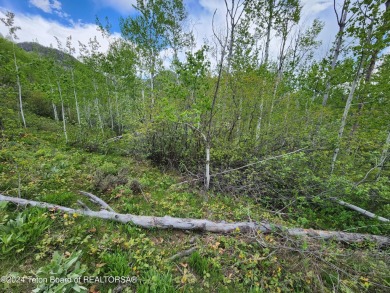 Beautiful treed lot backing up to the Aspen Hills Golf Course on Aspen Hills Golf Course in Wyoming - for sale on GolfHomes.com, golf home, golf lot