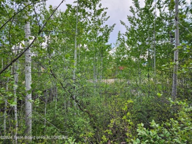 Beautiful treed lot backing up to the Aspen Hills Golf Course on Aspen Hills Golf Course in Wyoming - for sale on GolfHomes.com, golf home, golf lot