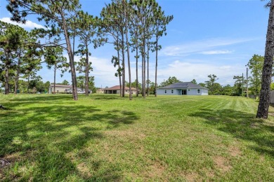 Under contract-accepting backup offers. Beautiful home built in on Wedgefield Golf Club in Florida - for sale on GolfHomes.com, golf home, golf lot