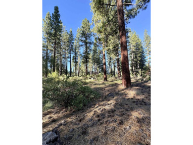 Located on a very desirable street in the Lahontan community on Lahontan Golf Club - Lahontan in California - for sale on GolfHomes.com, golf home, golf lot