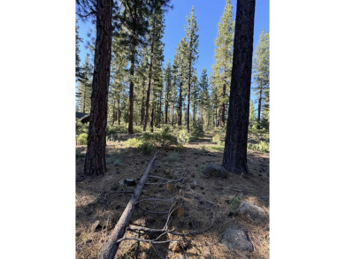 Located on a very desirable street in the Lahontan community on Lahontan Golf Club - Lahontan in California - for sale on GolfHomes.com, golf home, golf lot