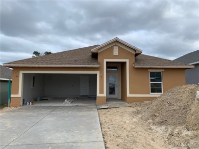 SELLER PROMO ON THIS HOME- UP TO $15,000.00 FLEX MONEY THAT CAN on Twisted Oaks Golf Club in Florida - for sale on GolfHomes.com, golf home, golf lot