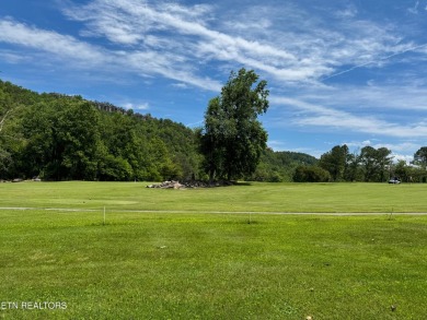 Enjoy mountain living in this beautifully updated lower-level on Bent Creek Golf Course in Tennessee - for sale on GolfHomes.com, golf home, golf lot
