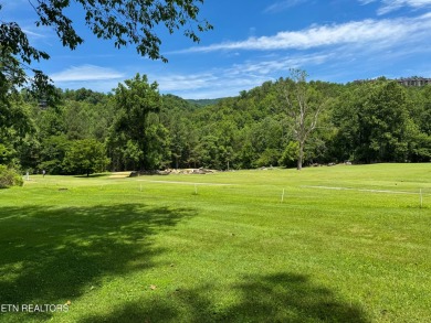 Enjoy mountain living in this beautifully updated lower-level on Bent Creek Golf Course in Tennessee - for sale on GolfHomes.com, golf home, golf lot