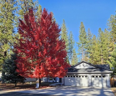 Discover the charm and comfort nestled inside the Lake Shastina on Lake Shastina Golf Course in California - for sale on GolfHomes.com, golf home, golf lot