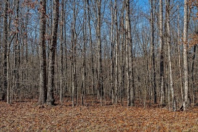 This lovely four-acre property, situated in Putnam County within on Mountain Ridge Golf Club in Tennessee - for sale on GolfHomes.com, golf home, golf lot
