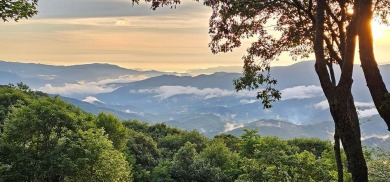 Perched at 4,600' on a private ridgeline, this Al Platt-designed on Balsam Mountain Preserve in North Carolina - for sale on GolfHomes.com, golf home, golf lot