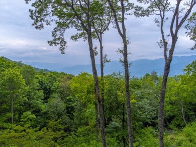Perched at 4,600' on a private ridgeline, this Al Platt-designed on Balsam Mountain Preserve in North Carolina - for sale on GolfHomes.com, golf home, golf lot