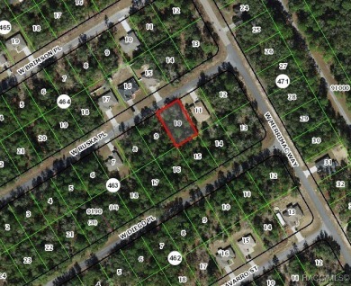 Buildable lot in Citrus Springs offers a picturesque homesite in on Citrus Springs Country Club in Florida - for sale on GolfHomes.com, golf home, golf lot