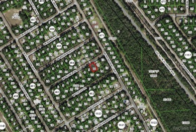 Buildable lot in Citrus Springs offers a picturesque homesite in on Citrus Springs Country Club in Florida - for sale on GolfHomes.com, golf home, golf lot