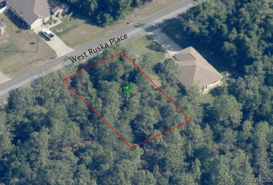 Buildable lot in Citrus Springs offers a picturesque homesite in on Citrus Springs Country Club in Florida - for sale on GolfHomes.com, golf home, golf lot