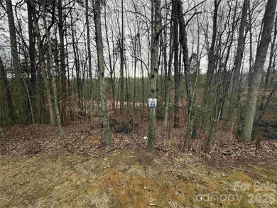 One of the last remaining lots for sale in River Oaks Golf on River Oaks Country Club in North Carolina - for sale on GolfHomes.com, golf home, golf lot